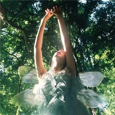 我和神仙做交易